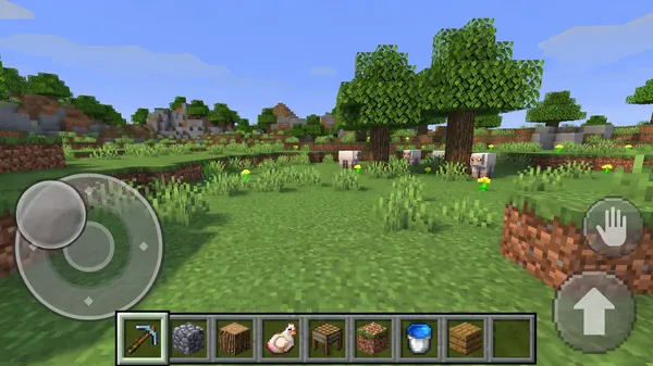 Use Touch Controls